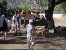 Die Ursache fr den Stau