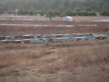 Honig - die Spezialitt der Gegend